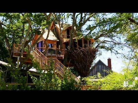 Behind the Build: Bird Nest Tree | Treehouse Masters