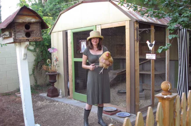 backyard chicken coops