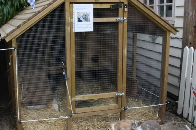 bunny barn in a storage shed