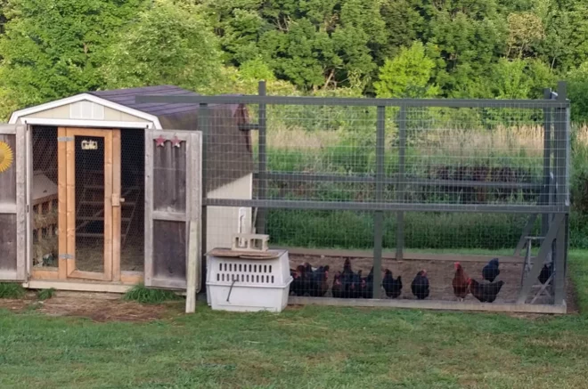 chicken coop with run