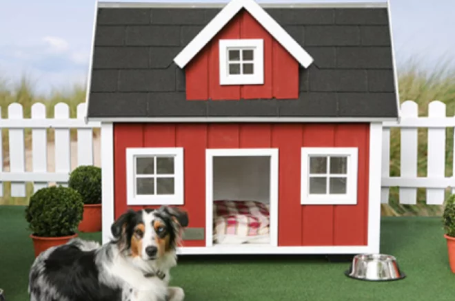 farm dog house shed