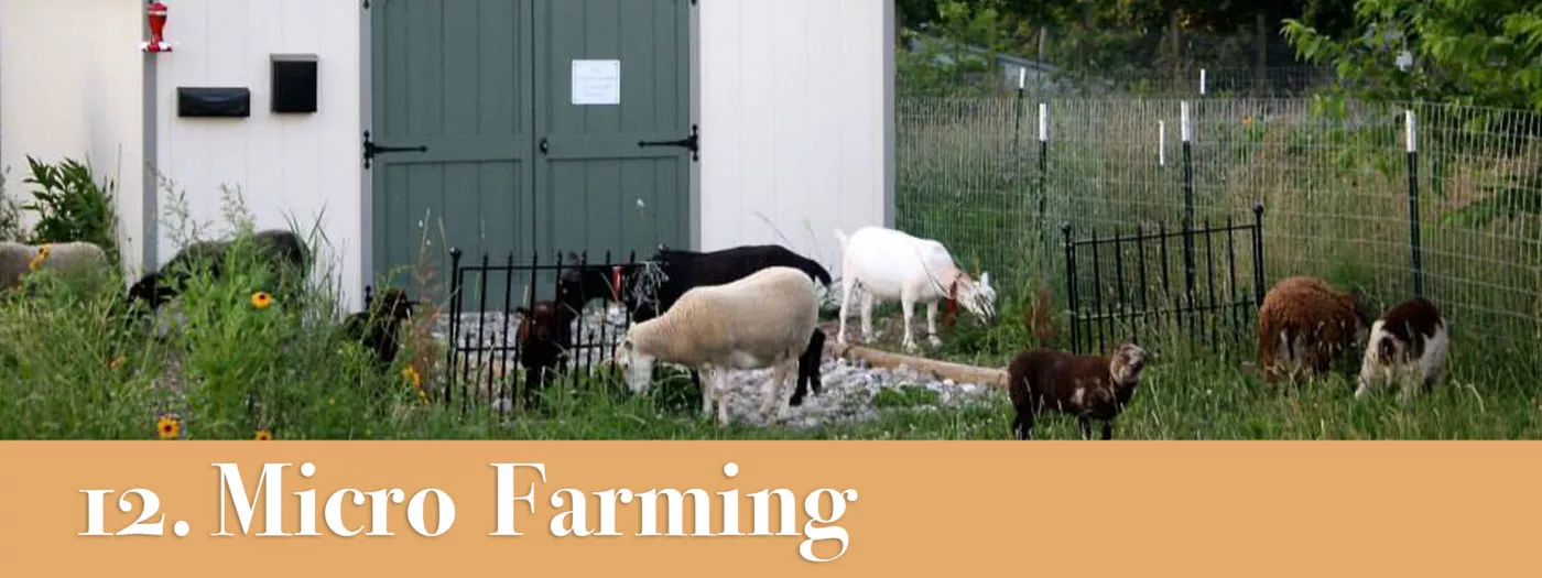 micro farm portable buildings
