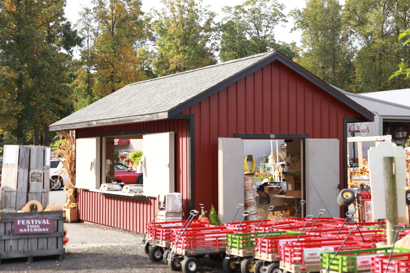 beautiful custom built shed